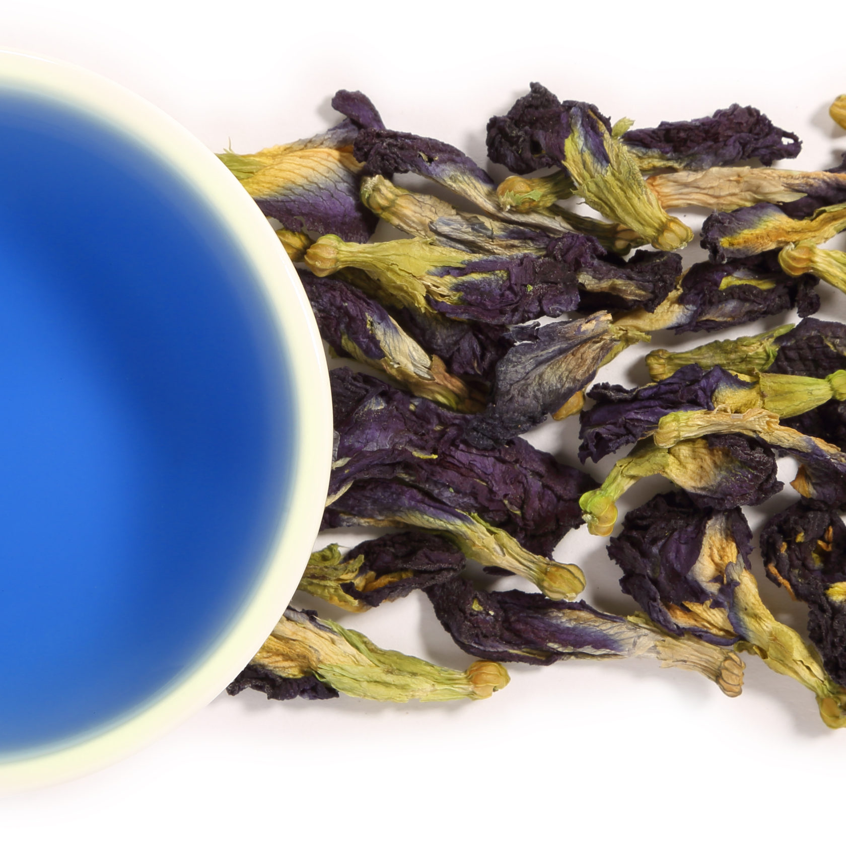 Niebieska Herbata Właściwości Zdrowotne Klitorii Ternateńskiej Herbata Club 8956
