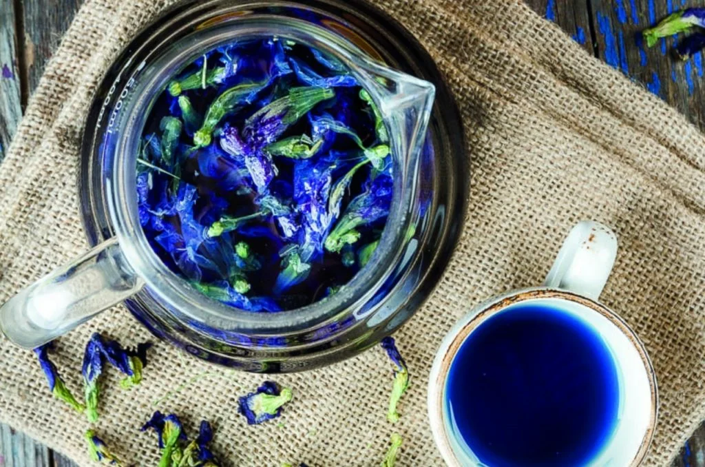 Niebieska herbata - klitoria ternateńska